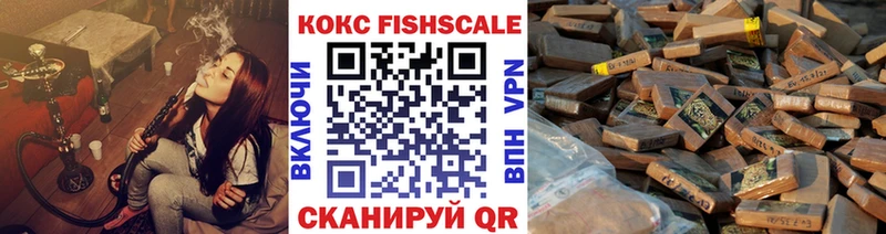 Кокаин FishScale где продают mega как зайти Удомля