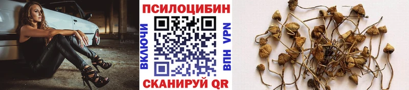 Галлюциногенные грибы ЛСД  Удомля 