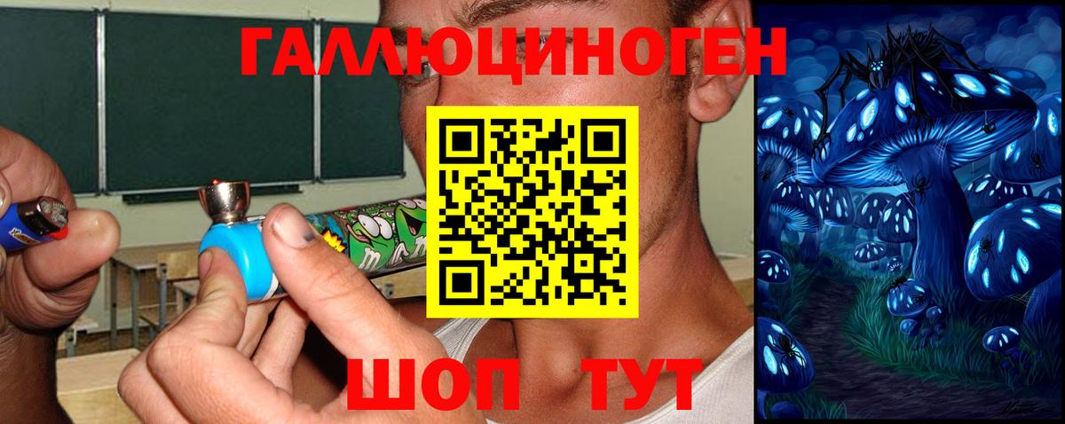 Псилоцибиновые грибы Cubensis  Вход с VPN  Удомля 